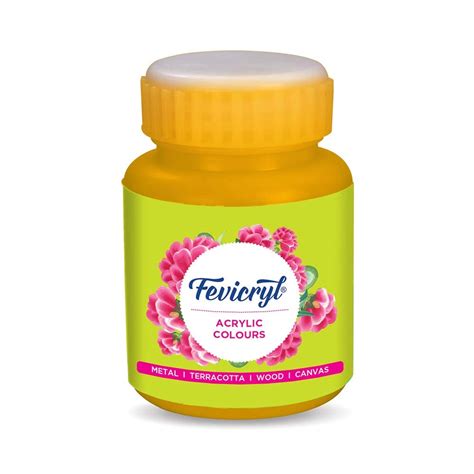Fevicryl Acrylic Colors 100ml (MRP 110)