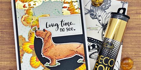 Unity Cover 的图像结果