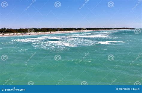 View of Sharky S Beach, Venice Fl Stock Image - Image of florida ...