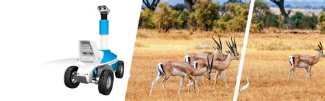 TelePresence 的图像结果