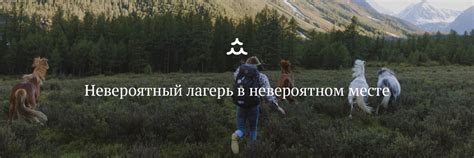 Глэмпинг «Лес и Море. Алтай» | «Лес и Море» на Алтае — уникальный ...