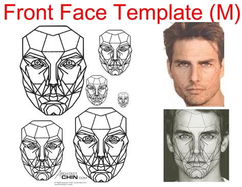 Male Face Template, Golden Ratio Grid, Front Face Sketch (digital ...