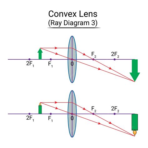 Premium Vector | Convex Lens Ray Diagram 3