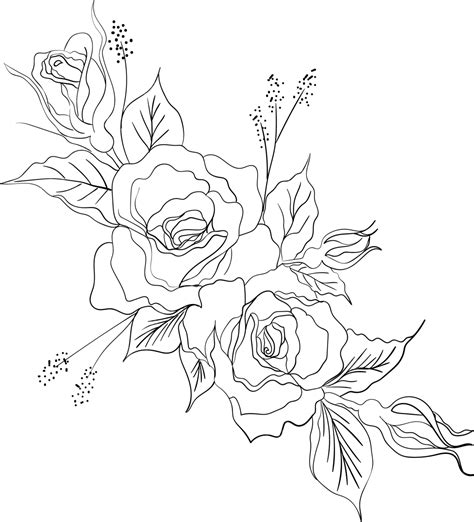 Wild Rose Flowers Drawing And Sketch With Line Art, Rose Drawing, Rose Sketch, Flower PNG and ...