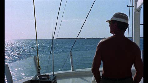 White Cannibal Queen – Vinegar Syndrome