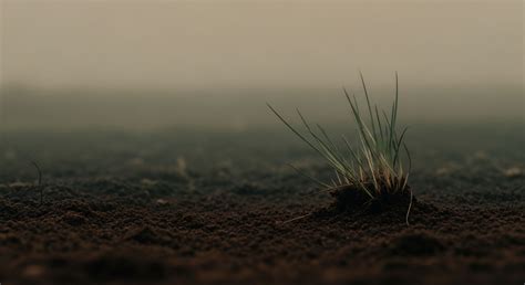 How Does the Water Table Depth Affect the Soil Gas Pressure and Subsequent Radon Entry Rate? → Learn