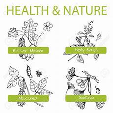Free Clipart Santum by Ocimum Clipart 20 Free Cliparts Images On Free Clipart Santum