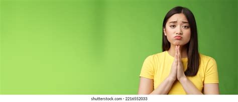 Plead 的图像结果