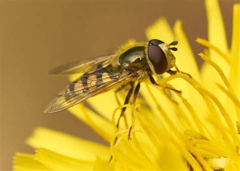 India's leading Professional Photography Online Community