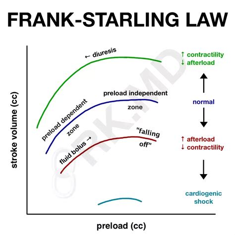 Frank Starling Mechanism