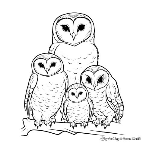 Owl Family Coloring Pages - Free & Printable!