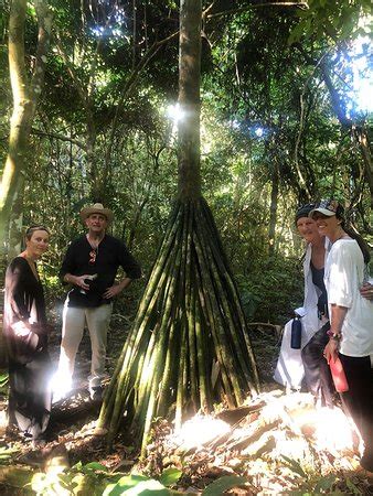 Bala Tours & Ecolodges (Rurrenabaque) - 2022 What to Know Before You Go ...