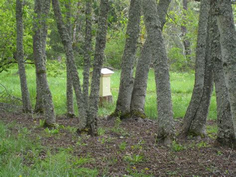 Melissa Bees » IMG_0255