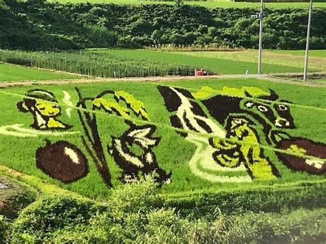 ONOGAWA ONSEN TAMBO ART OBSERVATION DECK - All You Need to Know BEFORE ...