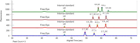 LabChip Plasmid DNA (pDNA) Assay | pDNA analysis | Revvity