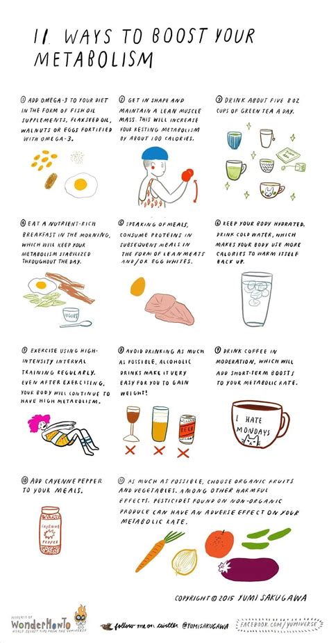 Swirlster First: How To Improve Your Metabolism