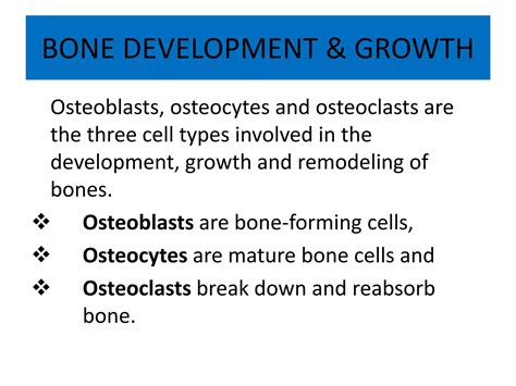 Anatomy of musculoskeletal system | PPTX