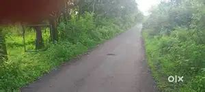 Agriculture Land for Sale in Mangaon Nijampur Road - Lands & Plots in ...