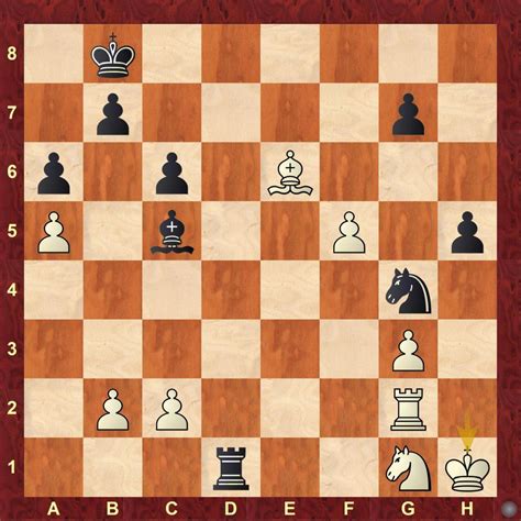 A Valentine's Day GM chess challenge from Lienz Open 2019 Part 1 ...