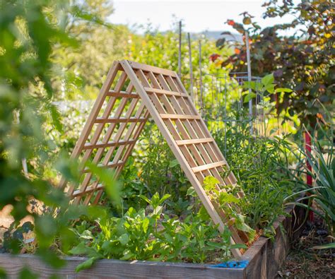 Beautiful Raised Garden Bed With Trellis Design Ideas To Try ...
