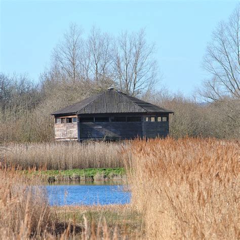 RSPB Fowlmere Nature Reserve - All You Need to Know BEFORE You Go