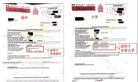 加拿大学签及续签申请指南：什么是大签、小签? - 兆龙留学