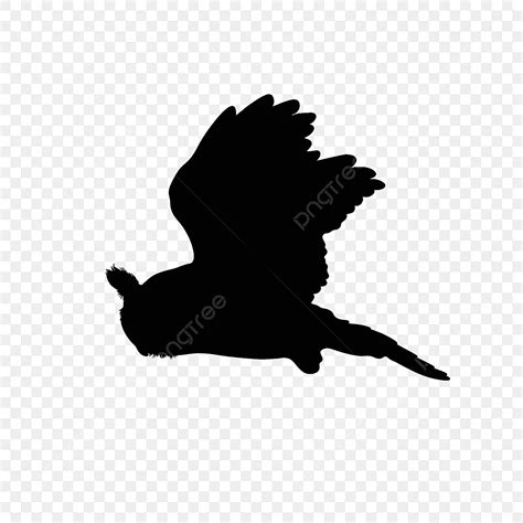 Silhouette Of Flying Owl