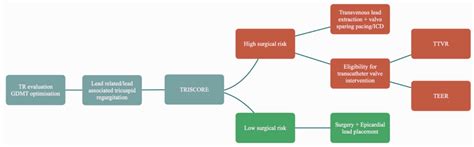 Tricuspid Regurgitation Associated with Implantable Cardiac Devices: A ...