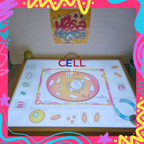 Láminas de mesa de luz “ANIMAL CELLS” en inglés | Mi Mesa Magica