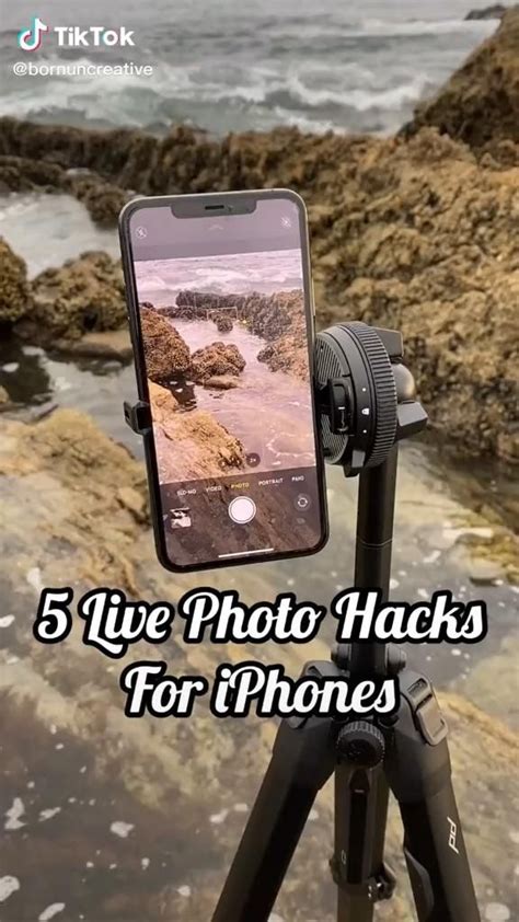 Image result for Snapseed Complete Tutorial