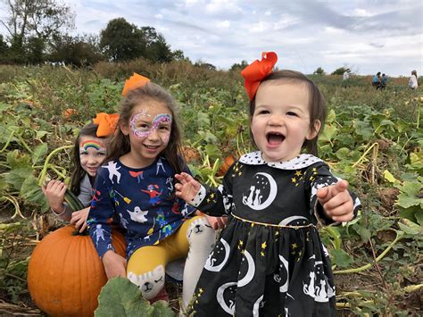 Around RVA: Lloyd Family Farms — Pineapples and Peonies