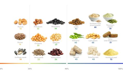 Food Examples Of Amino Acids at Leon Donovan blog