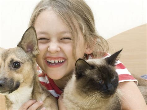 Keeping pets and kids calm - The Portugal News