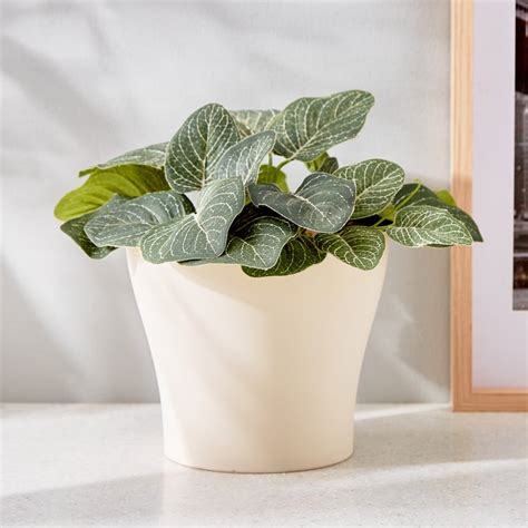 Buy Gloria Requisite Planter from Home Centre at just INR 79.0
