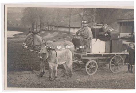 Fotopostkarte Esel mit Kutsche Foto E. Wolkersdorfer Hofgastein um 1910 ...