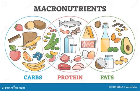 Carbohydrates In Food Chart
