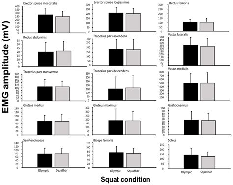 A Biomechanical Comparison between Squatbar® and Olympic Barbell