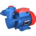 Buy MINI MASTER I - Mini Self Priming Regenerative Pump 1 HP Mini ...