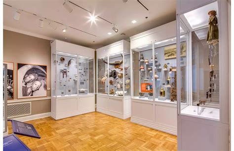 Pink Palace Museum - The Mansion | Lighting Services Inc