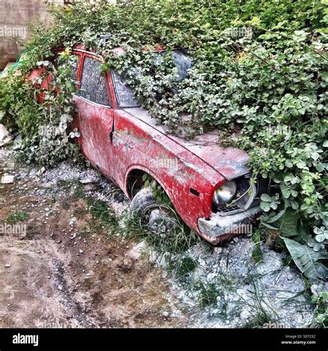 Car Bush Stock Photos & Car Bush Stock Images - Alamy