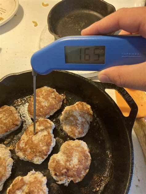 Image result for Thermapen Error Code E8