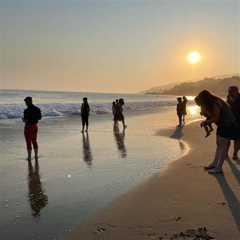 Beth Shir Shalom (@beth_shir_shalom) • Instagram photos and videos