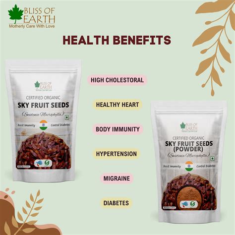 Bliss of Earth Sky Fruit Seeds, Swietenia Macrophylla, Mahogany Seeds,