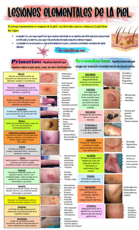 Lesiones elementales de la piel - Se clasifican en: Primarias: Aquellas ...