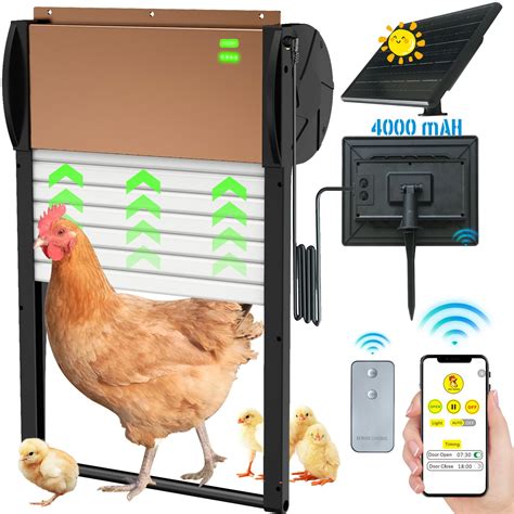 Automatic Chicken Coop Door Solar Powered With App Timer Programmable ...