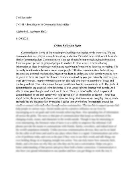 Critical Reflection Assignment 的图像结果