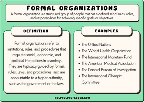 Organization. Examples 的图像结果