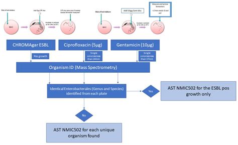 Gastrointestinal Carriage of Antimicrobial Resistance in School-Aged ...
