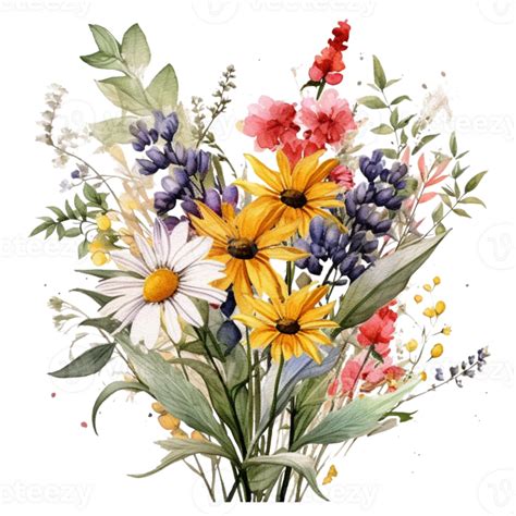 sweet watercolor wild flower bouquet, transparent background, isolated ...