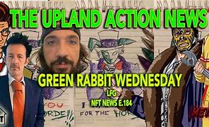 Image result for Rabbit in Thew Wild
